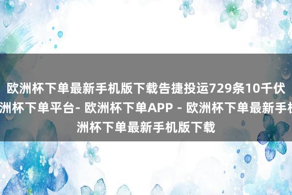 欧洲杯下单最新手机版下载告捷投运729条10千伏廓清-欧洲杯下单平台- 欧洲杯下单APP - 欧洲杯下单最新手机版下载