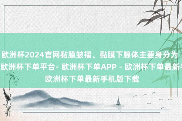 欧洲杯2024官网黏膜皱褶、黏膜下腺体主要身分为 Ⅲ 型胶原-欧洲杯下单平台- 欧洲杯下单APP - 欧洲杯下单最新手机版下载