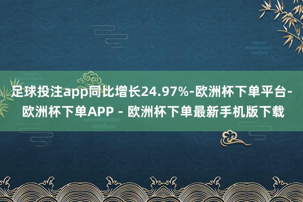 足球投注app同比增长24.97%-欧洲杯下单平台- 欧洲杯下单APP - 欧洲杯下单最新手机版下载
