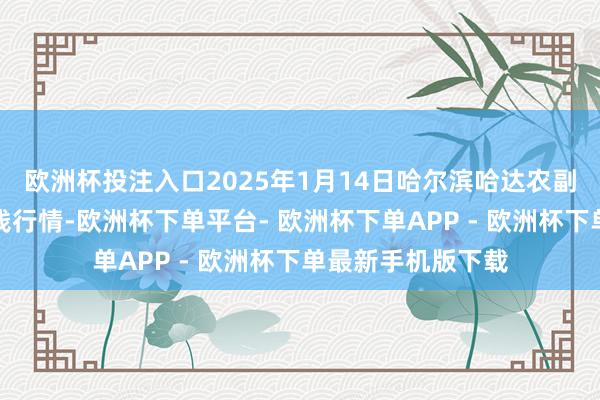 欧洲杯投注入口2025年1月14日哈尔滨哈达农副居品有限公司价钱行情-欧洲杯下单平台- 欧洲杯下单APP - 欧洲杯下单最新手机版下载