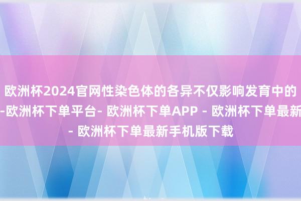 欧洲杯2024官网性染色体的各异不仅影响发育中的胚胎的性别-欧洲杯下单平台- 欧洲杯下单APP - 欧洲杯下单最新手机版下载