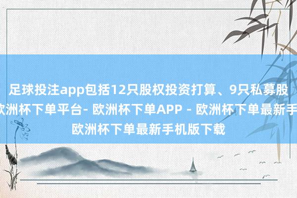 足球投注app包括12只股权投资打算、9只私募股权基金-欧洲杯下单平台- 欧洲杯下单APP - 欧洲杯下单最新手机版下载