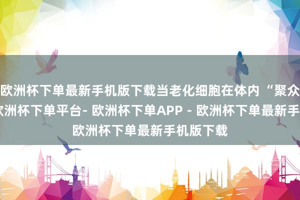 欧洲杯下单最新手机版下载当老化细胞在体内 “聚众肇事”-欧洲杯下单平台- 欧洲杯下单APP - 欧洲杯下单最新手机版下载