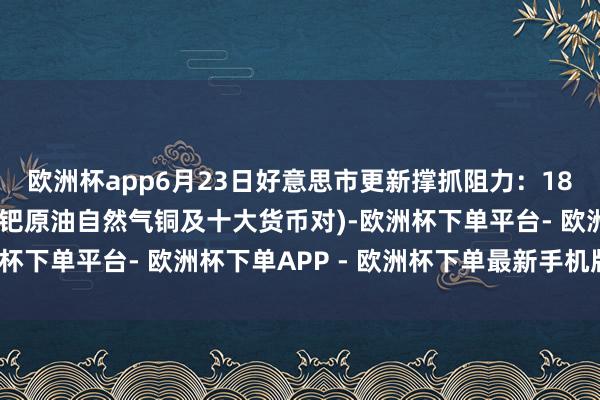 欧洲杯app6月23日好意思市更新撑抓阻力：18品种撑抓阻力(金银铂钯原油自然气铜及十大货币对)-欧洲杯下单平台- 欧洲杯下单APP - 欧洲杯下单最新手机版下载