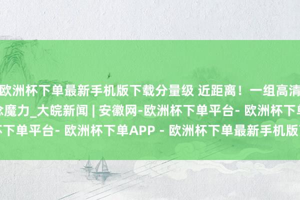 欧洲杯下单最新手机版下载分量级 近距离！一组高清长图感受跨海通说念魔力_大皖新闻 | 安徽网-欧洲杯下单平台- 欧洲杯下单APP - 欧洲杯下单最新手机版下载