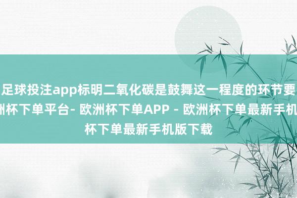 足球投注app标明二氧化碳是鼓舞这一程度的环节要素-欧洲杯下单平台- 欧洲杯下单APP - 欧洲杯下单最新手机版下载