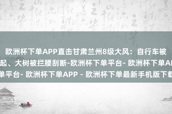 欧洲杯下单APP直击甘肃兰州8级大风：自行车被吹飞、铁皮屋顶被掀起、大树被拦腰刮断-欧洲杯下单平台- 欧洲杯下单APP - 欧洲杯下单最新手机版下载
