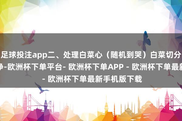 足球投注app二、处理白菜心（随机到哭）白菜切分：白菜心洗净-欧洲杯下单平台- 欧洲杯下单APP - 欧洲杯下单最新手机版下载