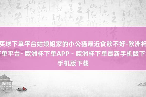 买球下单平台姑娘姐家的小公猫最近食欲不好-欧洲杯下单平台- 欧洲杯下单APP - 欧洲杯下单最新手机版下载