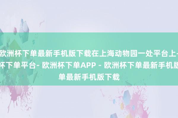 欧洲杯下单最新手机版下载在上海动物园一处平台上-欧洲杯下单平台- 欧洲杯下单APP - 欧洲杯下单最新手机版下载