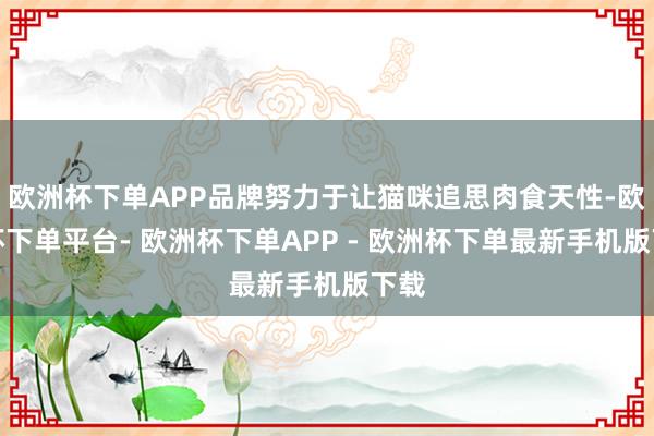欧洲杯下单APP品牌努力于让猫咪追思肉食天性-欧洲杯下单平台- 欧洲杯下单APP - 欧洲杯下单最新手机版下载